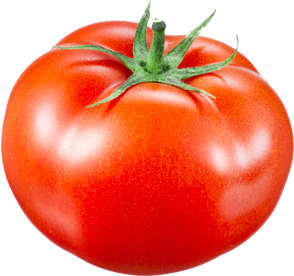 Gutknecht-Gemüse: Tomaten aus eigener Produktion